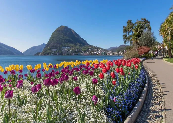 Casa Serenella Splendid View - Happy Apartament Lugano